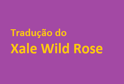 tricô em prosa - receita traduzida - Xale Wild Rose